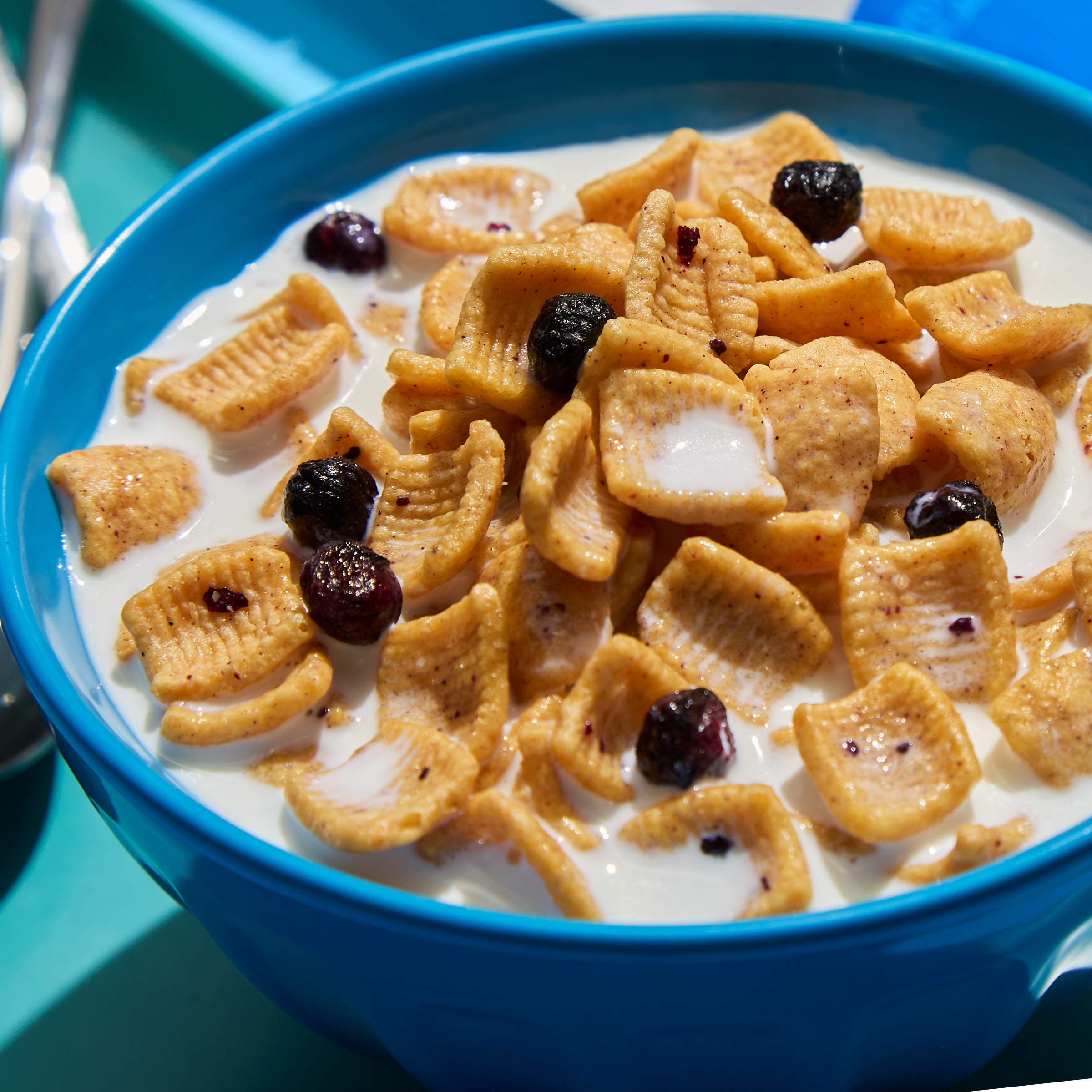 Blueberry Muffin with Blueberries Cereal - Soft Pick